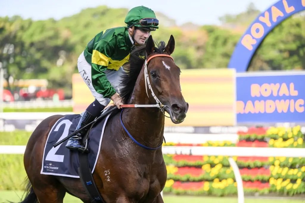 The WS Cox Plate - I’m struggling to settle on one! 

I’ve never been so Vanilla #IceIceBaby 

I’m Natalie Imbruglia #Torn

Going all Bowie and Freddie Merc #UnderPressure

There’s only one clear Allen Iverson #TheAnswer

It’s my boy Brutal <a href="/NewgateFarm/">Newgate</a> &amp; Nepotism for the win 🐎