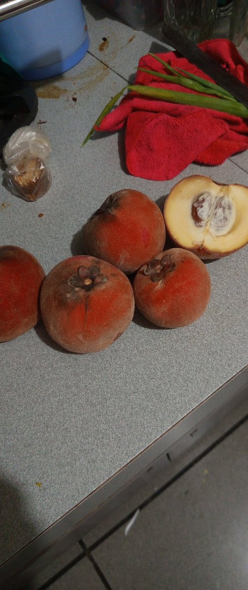 man ...ini buah apa ya , baru kali ini saya melihat <a href="/B3doel___/">b3'doel</a> 
jal ...apa kie man ....