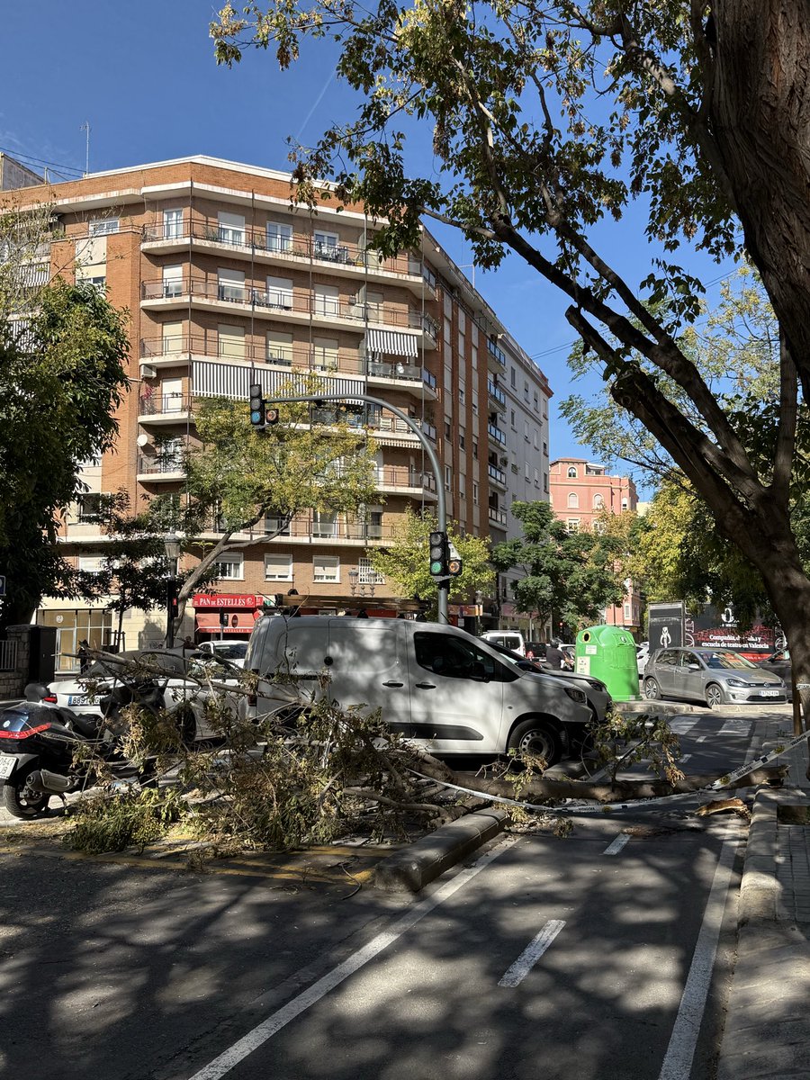 Hola! Tenim arbre caigut al carrer Joan Llorenç <a href="/VLCVerda/">València Verda</a>