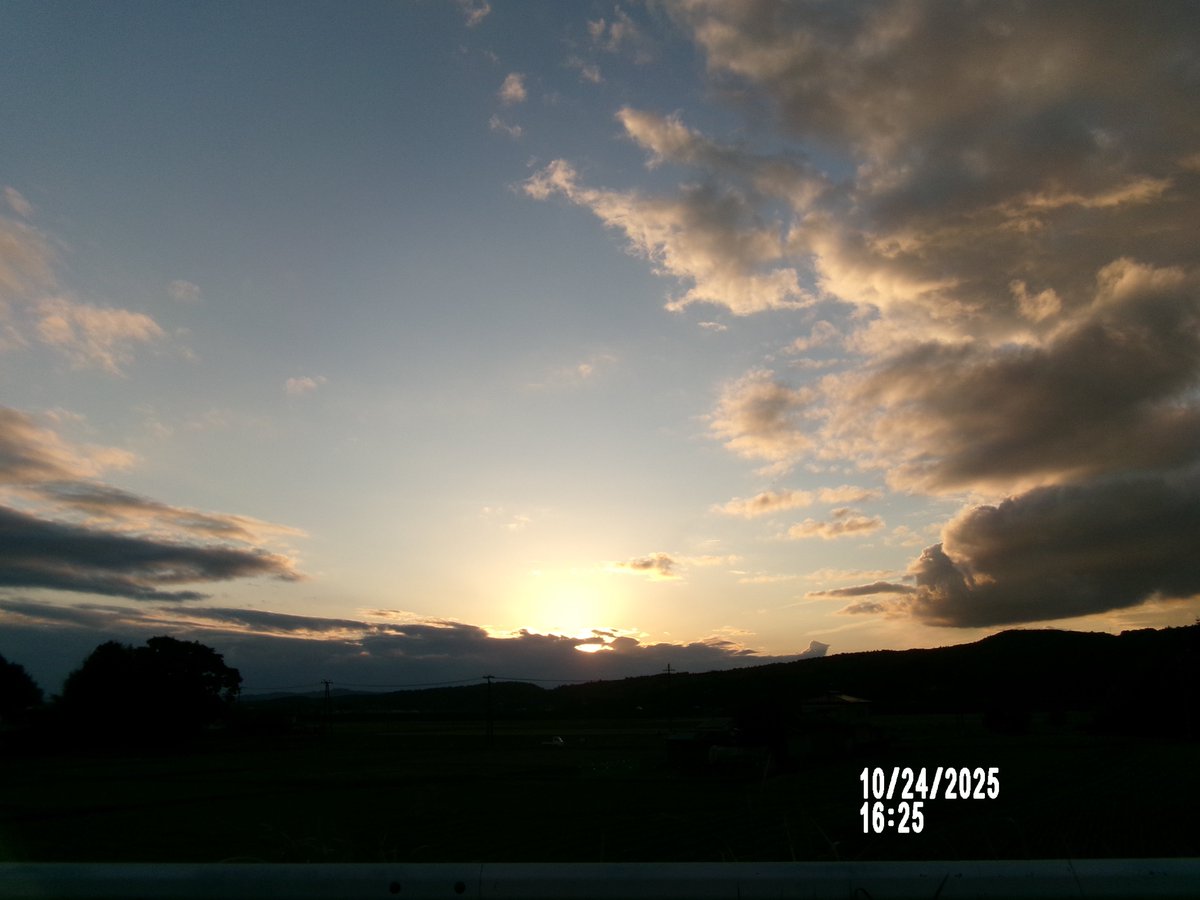 のりちゃん2 on X