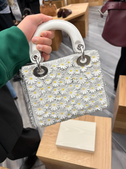 Irin__a_'s tweet photo. Looking forward to this #DIOR bag at next year’s Paris Fashion Week 👜💫🇫🇷 Can’t wait to see it on the runway! 😍✨ https://t.co/Zu1FpYOSFl