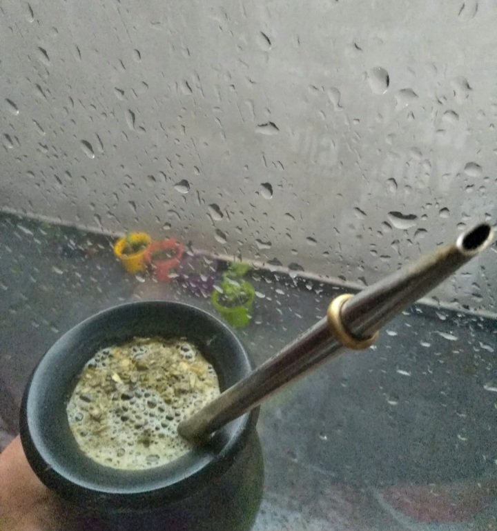 2017_don's tweet image. Buen día locuras 👋