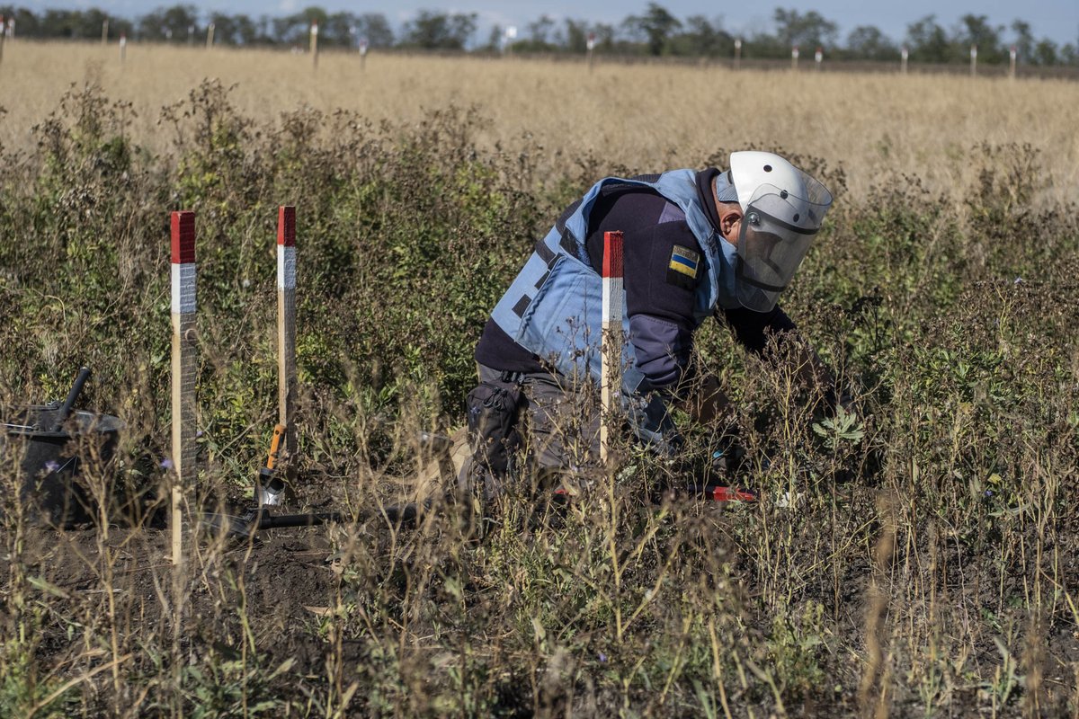 «Zwischen diesen Feldern in der #Ukraine sind oft dünne Waldstreifen, die werden genutzt, um Schutz und Versteck zu bieten, und dort Kampfstellungen zu errichten», erklärt <a href="/_MarkSchindler/">Markus Schindler</a>, Innovations Manager der FSD als Gast bei ORF.
 👉(min 14:14) bit.ly/4neokM5