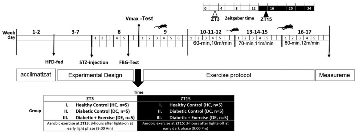 JPBY_official's tweet photo. #Aerobic_exercise_timing affects #mitochondrial_dynamics and #insulin_resistance by regulating the #circadian_clock protein expression and NAD+-SIRT1-PPARα-MFN2 pathway in the #skeletal_muscle of high-fat-diet-induced #diabetes mice
https://t.co/EV8P6qvm8q https://t.co/zE1XgjdWTs