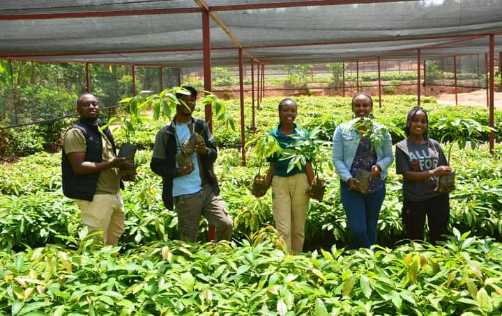 Rwamagana District (@rwamaganadistr) on Twitter photo #Umuganda wo kuri uyu wa 25Ukwakira uratangirizwamo igihembwe 2025/2026 cyo gutera ibiti. Mu tugari twose hateguwe ingemwe z'ibiti byo gutera kandi kugeza ubu mu Karere hamaze gutegurwa imyobo yo guterwamo ibiti muri iki gihembwe isaga 1,591,006. "Igiti cyanjye,Umurage wanjye". #Umuganda wo kuri uyu wa 25Ukwakira uratangirizwamo igihembwe 2025/2026 cyo gutera ibiti. Mu tugari twose hateguwe ingemwe z'ibiti byo gutera kandi kugeza ubu mu Karere hamaze gutegurwa imyobo yo guterwamo ibiti muri iki gihembwe isaga 1,591,006. "Igiti cyanjye,Umurage wanjye".