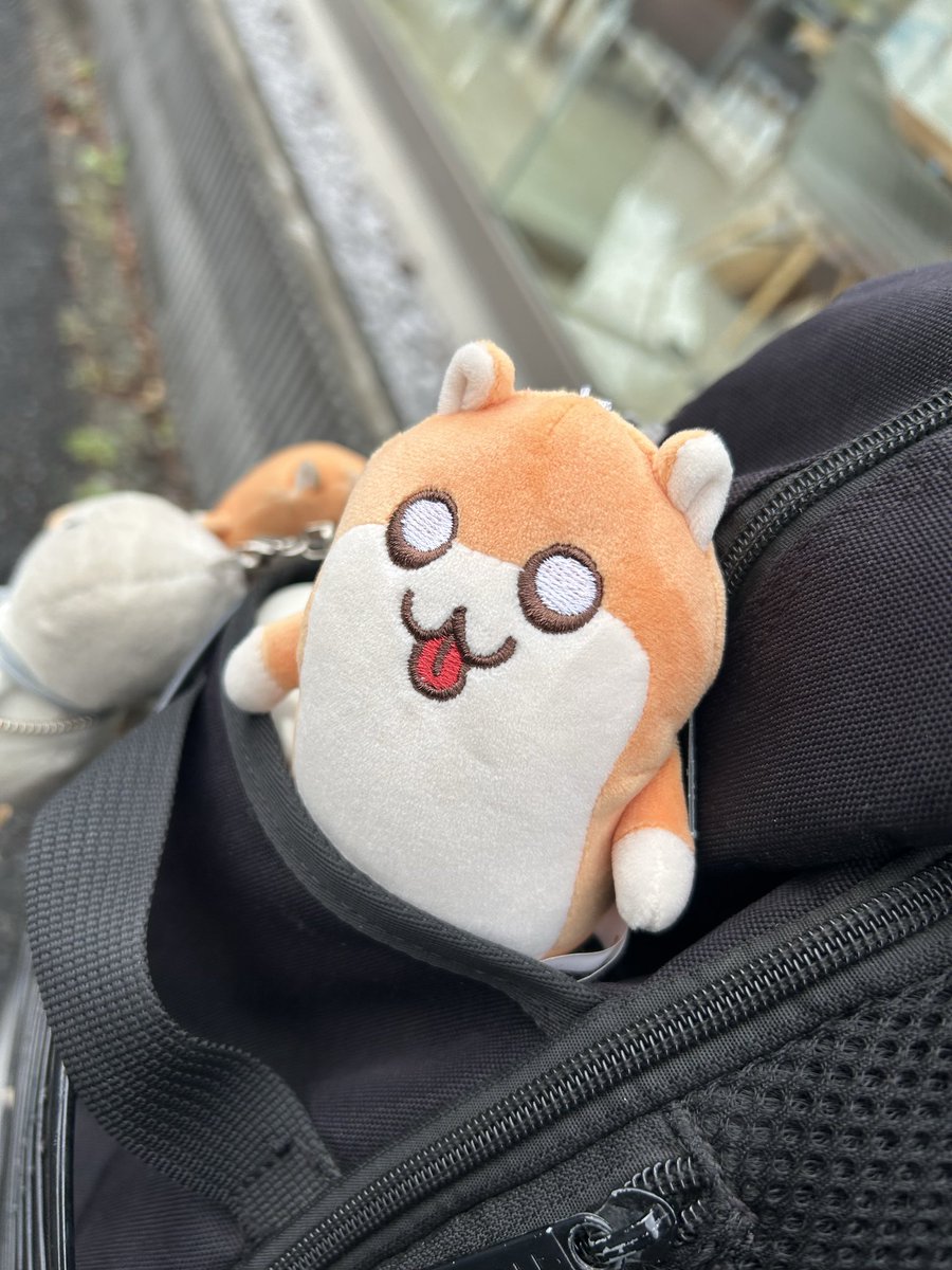 クソハムちゃん【公式】 (@kusohamu_chan) / Posts / X