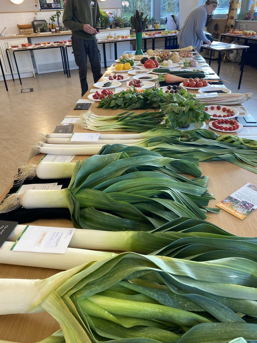 medwynsofangles's tweet image. The leeks at the RHS late Autumn show surprised me as it was the variety LLanberis   bred by David Metcalfe some years ago now. This won the Best dish in Show. The remarkable thing was the condition of the foliage, very clean and free from all pest and diseases