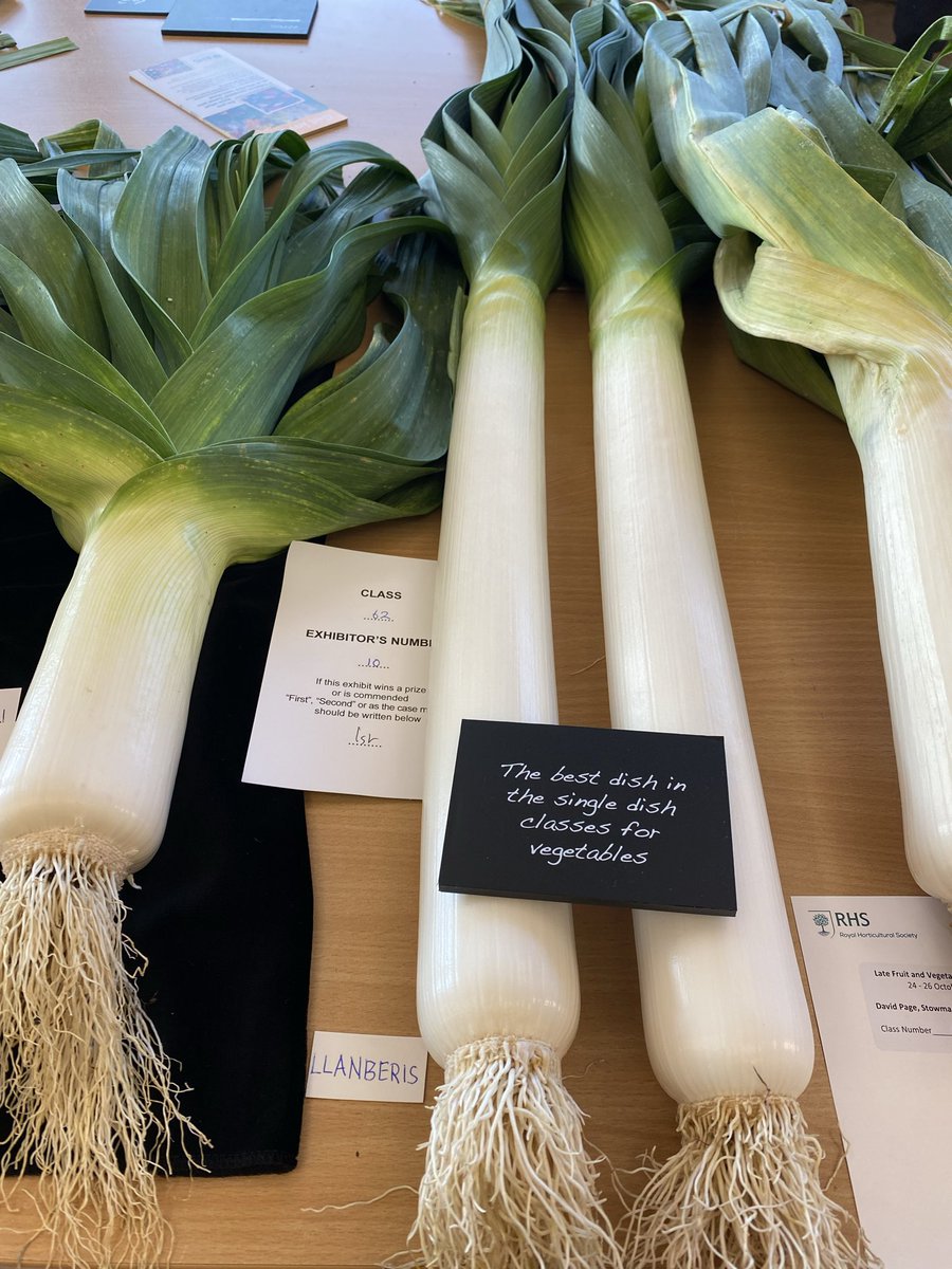 medwynsofangles's tweet image. The leeks at the RHS late Autumn show surprised me as it was the variety LLanberis   bred by David Metcalfe some years ago now. This won the Best dish in Show. The remarkable thing was the condition of the foliage, very clean and free from all pest and diseases