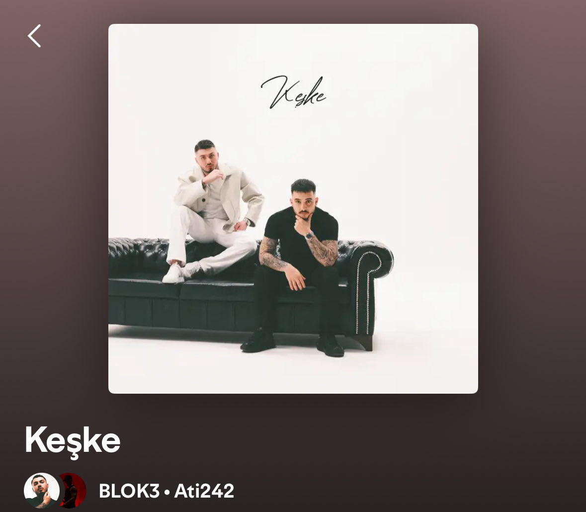 Belki de Şarkılar Sokaklara Ait senin rekorunu kıramayacak ama bu şarkıya bot basıldığına dair en büyük kanıtlardan birisi olacak.