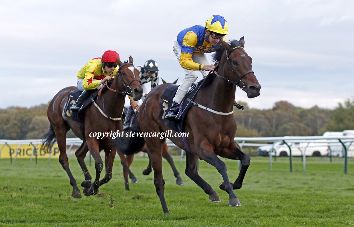 Steven Cargill tweet media