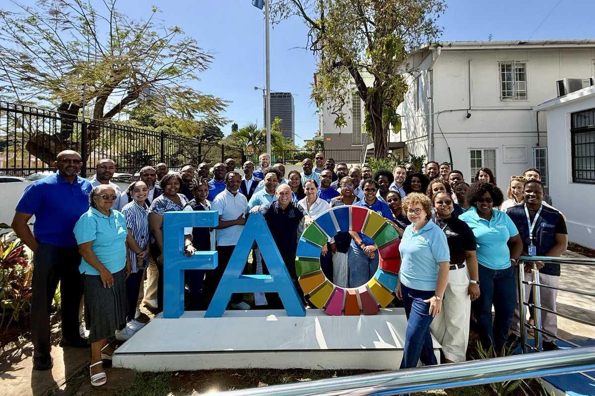 FAOMozambique's tweet photo. 💙 It’s #BlueFriday at @FAO Mozambique!

Celebrating #80Years of FAO and 80 years of the #UnitedNations — eight decades working together for a world free from hunger. 🌾🌍

#FAO80 #UN80 #OneFAO https://t.co/w80oi4wkdr