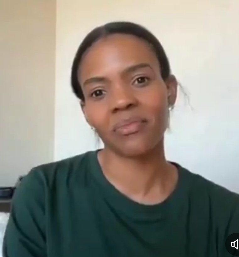 Vince Langman tweet media