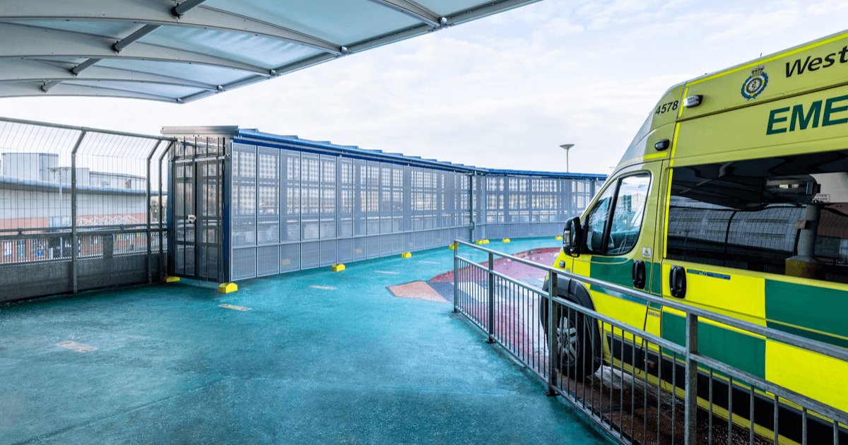 Twinfix Canopies & Roof Glazing tweet media