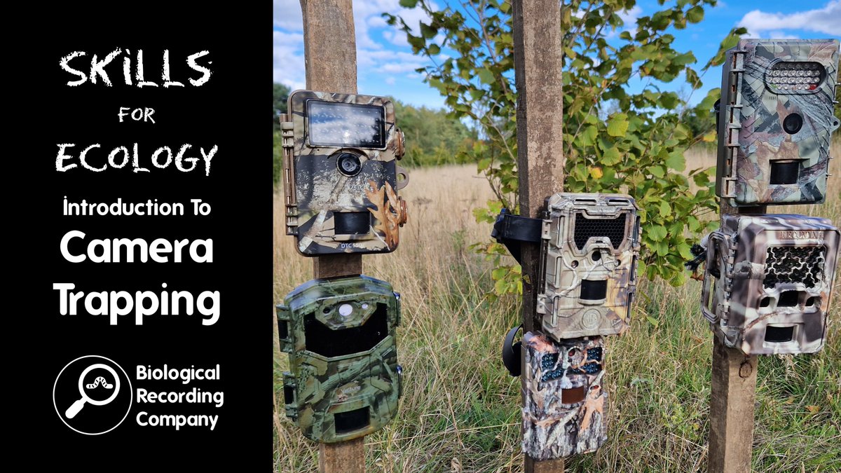 Curious about camera trapping?

Join Dr <a href="/SammyMason25/">Dr Sammy Mason</a> (<a href="/MammalWeb/">MammalWeb</a> ) on 22nd January 2026 for a live Introduction to Camera Trapping webinar. Learn how to choose, set &amp; use camera traps for wildlife study &amp; conservation.

🎟️ £12.50 → eventbrite.co.uk/e/1723620849359