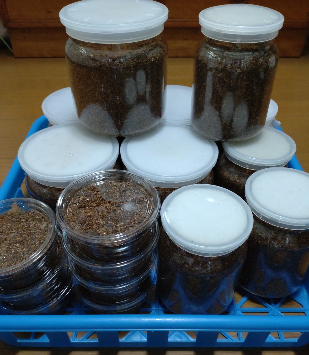 mamako＊《ヘラ💗》 on X