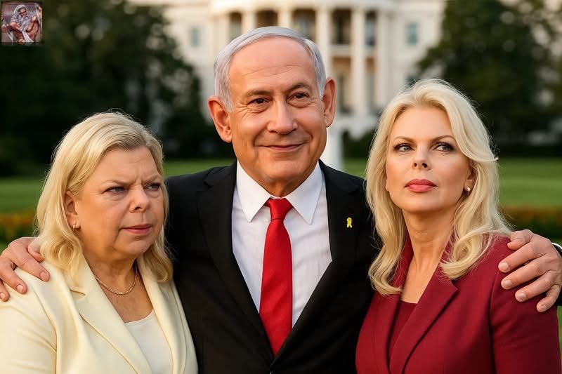gila livni zamir ๐ง๐ปโโ๏ธ tweet media