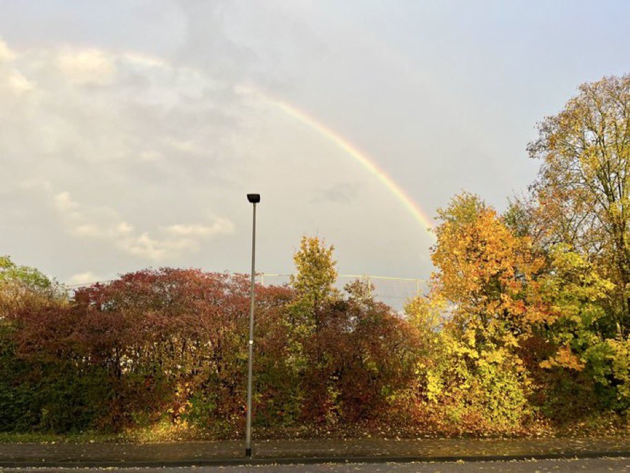 Herbst

Ich bin, das lässt sich nicht bestreiten,
Die herbste aller Jahrszeiten:
Raue Winde, scharf wie Säbel,
Welke Wälder, graue Nebel.
Die Vögel klagen leise, leise
Und gehen auf die Winterreise.
Dann lischt die Sommersonne aus.
Holt eure Gummischuhe raus.

Mascha Kaléko