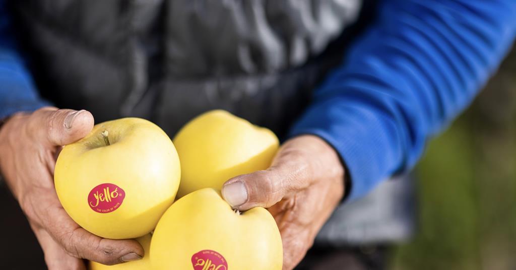 New yello campaign kicks off ow.ly/r1th106oRNu