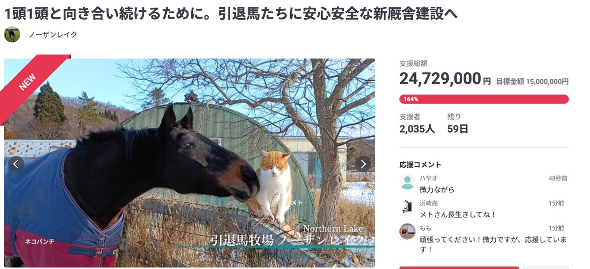 Jesus Christ I just checked the crowdfunding again and the total amount raised is now 24M JPY, a little bit more and the amount needed to make a new stable will be DOUBLED.

The power of uma and umamusume fans... amazing...