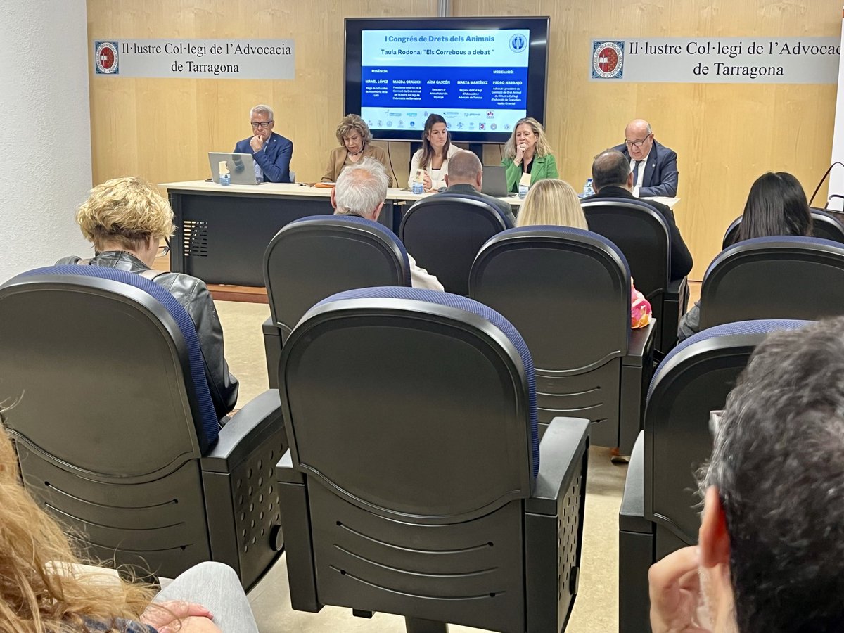 conselladvocat's tweet image. 🐂 Taula “Els correbous a debat”

✅ Visions sobre tradició, convivència i protecció animal

🗣️ @ManelLopezBejar, degà @UABveterinaria
🗣️ @MagdaOranich, advocada @ICABarcelona
🗣️ @AidaGascon, directora @AnimaNaturalis
🗣️ @IGellida, degana @ICATORTOSA

🧑‍⚖️ Pedro Naranjo @icavor