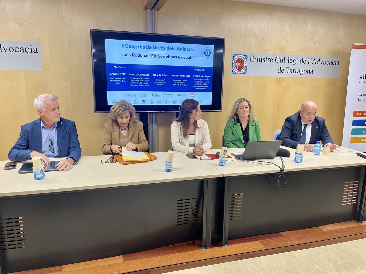 conselladvocat's tweet image. 🐂 Taula “Els correbous a debat”

✅ Visions sobre tradició, convivència i protecció animal

🗣️ @ManelLopezBejar, degà @UABveterinaria
🗣️ @MagdaOranich, advocada @ICABarcelona
🗣️ @AidaGascon, directora @AnimaNaturalis
🗣️ @IGellida, degana @ICATORTOSA

🧑‍⚖️ Pedro Naranjo @icavor
