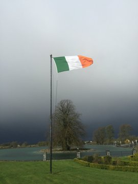 Declan Ganley tweet media