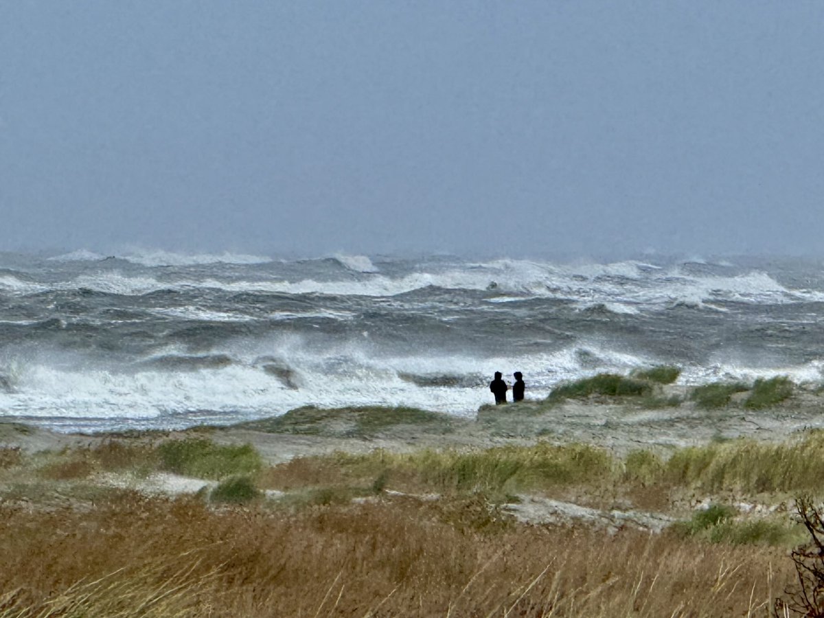 De natuur is altijd de baas #Schiermonnikoog