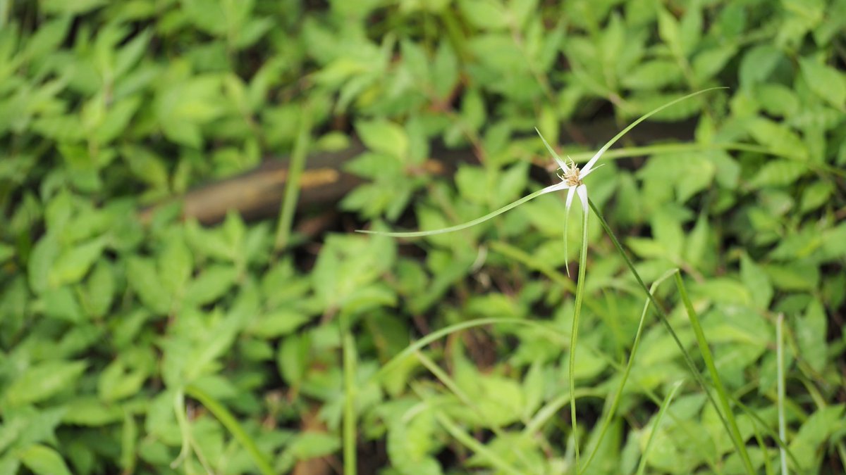 Stryyyyyyyyyyyy's tweet image. 