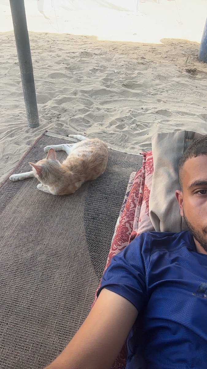 Mo7mmd30's tweet image. Mimi and i are still alive