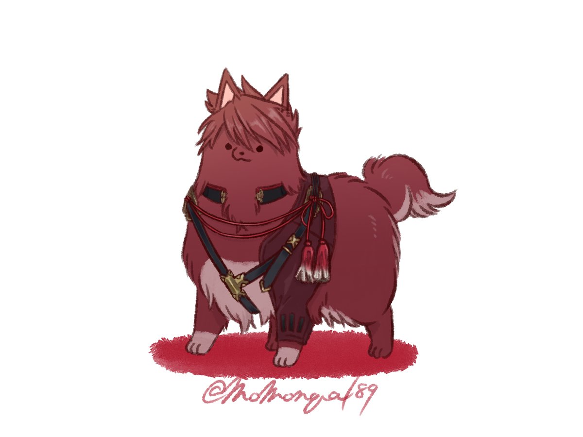 大ポメ平 真面目で面倒見がいい兄貴分な横綱ﾎﾟﾒﾁｬﾝ。 お散歩から帰って