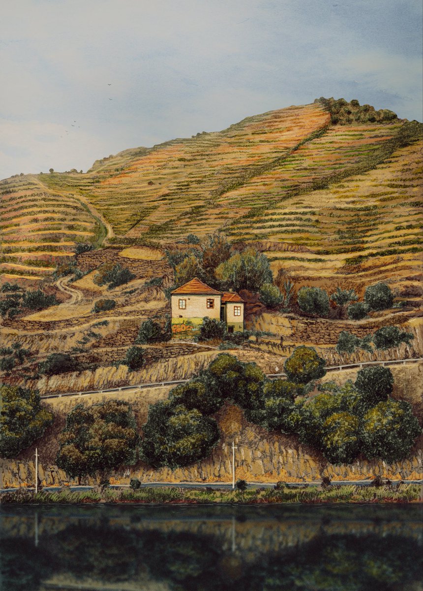 _Francis_co_Art's tweet image. Alto Douro
Prints: franciscofonscashop.etsy.com