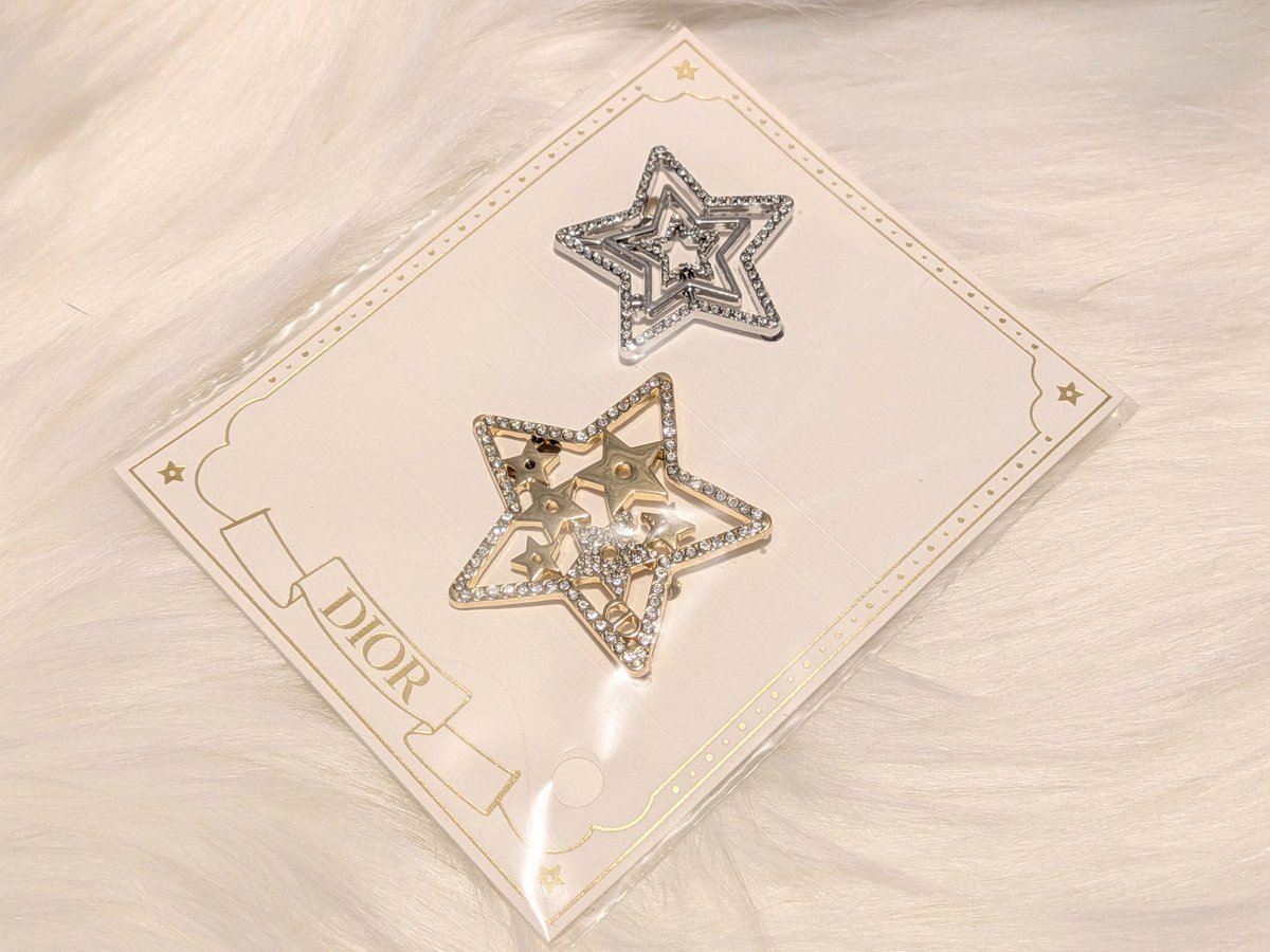 Dior ロゴ　ブローチ　ボックス付き DIOR Floral Blooming Boudoir Gift Box With Silver Logo