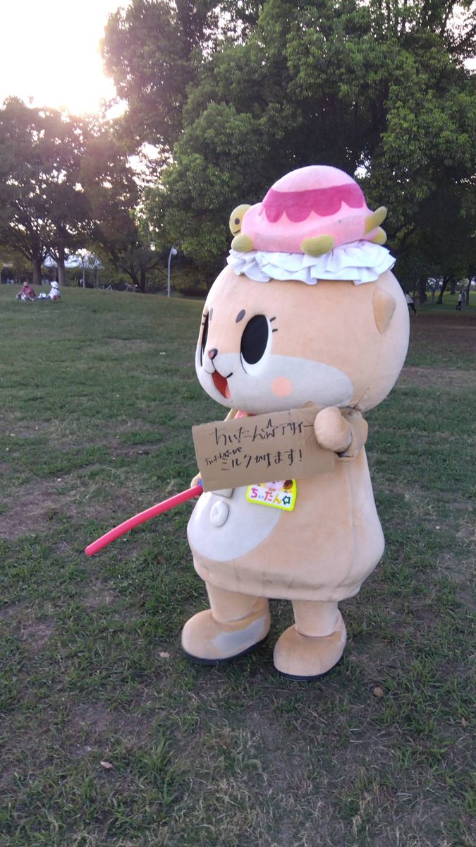 公式：ちぃたん☆大阪 (@Chiitan_Osaka) / Posts / X