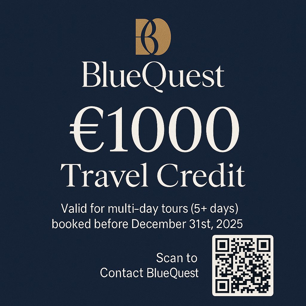 Bluequestpt tweet picture