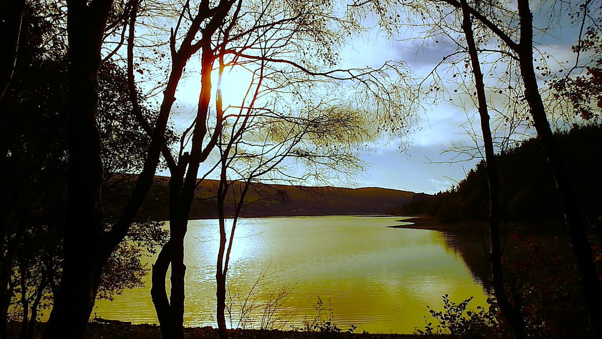 #reservoir #nature #wilderness