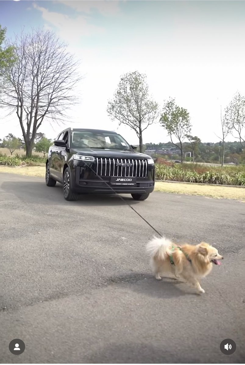 Neo31697578's tweet image. See Khokho and the pet friendly Jaecoo J7 available @OJSandMelrNorth 

#KhosiTwala #Khosireigns #summertime
#picnic
#omodajaecoosandton