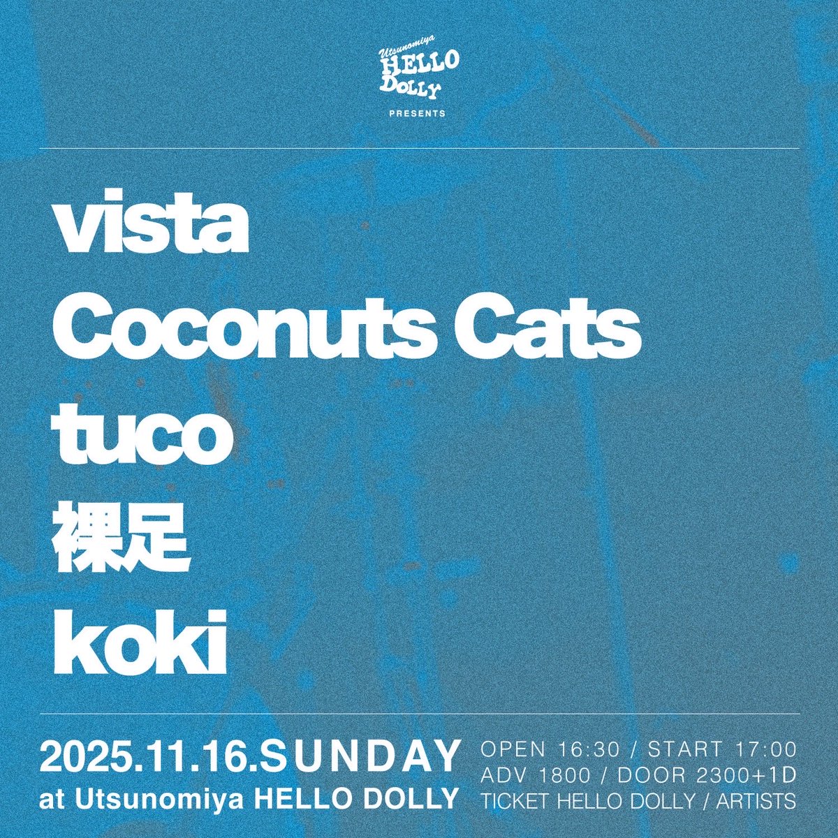 mamanarazu's tweet photo. 🫎🫎急遽追加ライブ🫎🫎

2025.11.16.SUN
宇都宮HELLO DOLLY
HELLO DOLLY PRESENTS

vista
Coconuts Cats
tuco
裸足
koki

OPEN 16:30 / START 17:00

我々の出番は19時15分〜🦌🦌🦌
新曲やります💪💪 https://t.co/8Yjj74rHx5