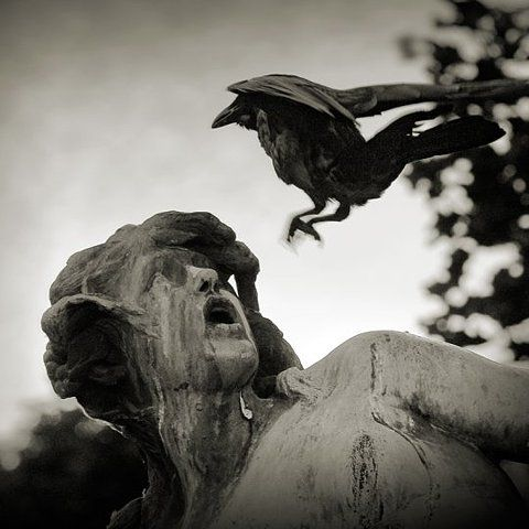 i hear the birds on the roof
i deathly fear the stains
of white rain
soon following

 #FromOneLine