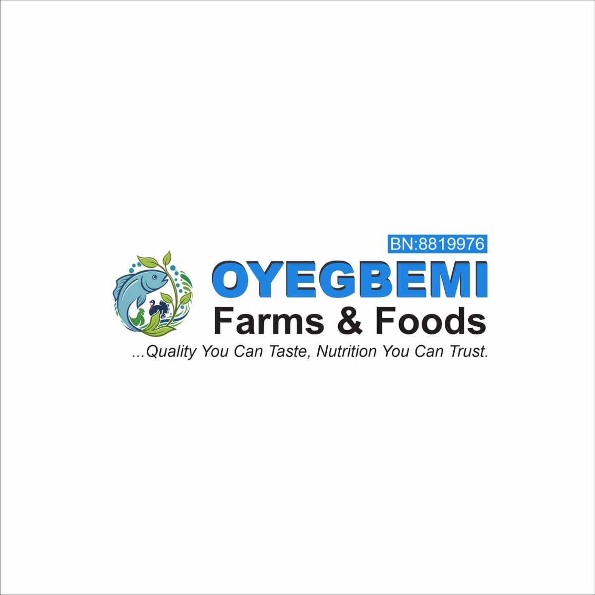 Hidee_baba's tweet photo. Oyegbemi Farms &amp; Foods is a registered business that specializes in agriculture, forestry and fishing. Oyegbemi Frozen Foods and OyeGrillz are subsidiaries that sells  quality fishes and poultry products to the end consumers. We offer consultancy services in fish farming. https://t.co/MmfEkctTRS