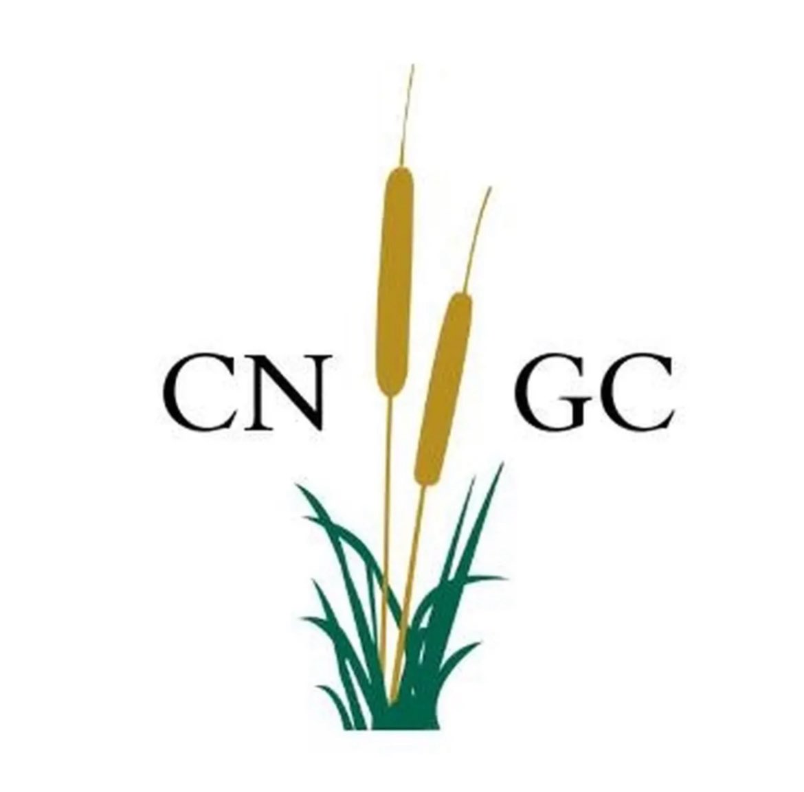 PAGCS_1925 (@pagcs1925_2025) on Twitter photo 