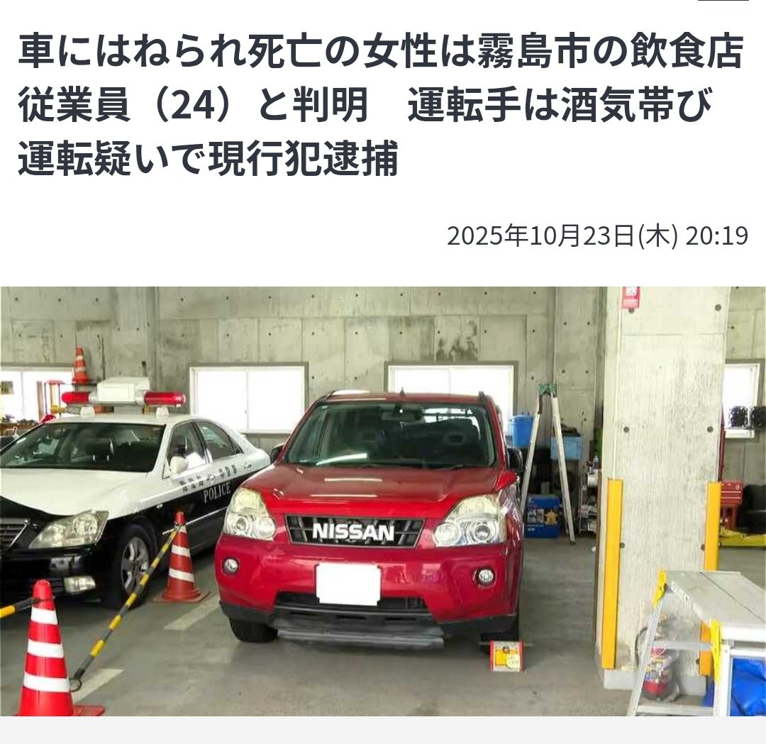 きつねさん。N党から国民を守る党 on X