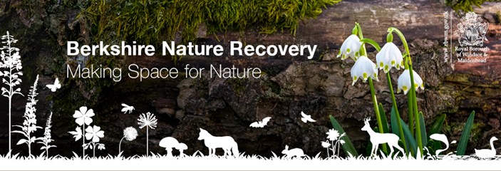 🌿Congrats to <a href="/RBWM/">RBWM</a> on the launch of the Berks LNRS after 2+ years of development and lots of input from environmental professionals and public consultations! 

TVERC is proud to have supported its publication and excited to see nature recovery in action

rbwmtogether.rbwm.gov.uk/berkshire-loca…