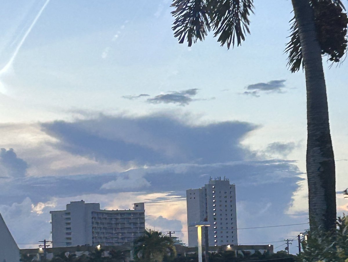 체인소맨 보러가는 길이었는데 빔이 반겨줬다