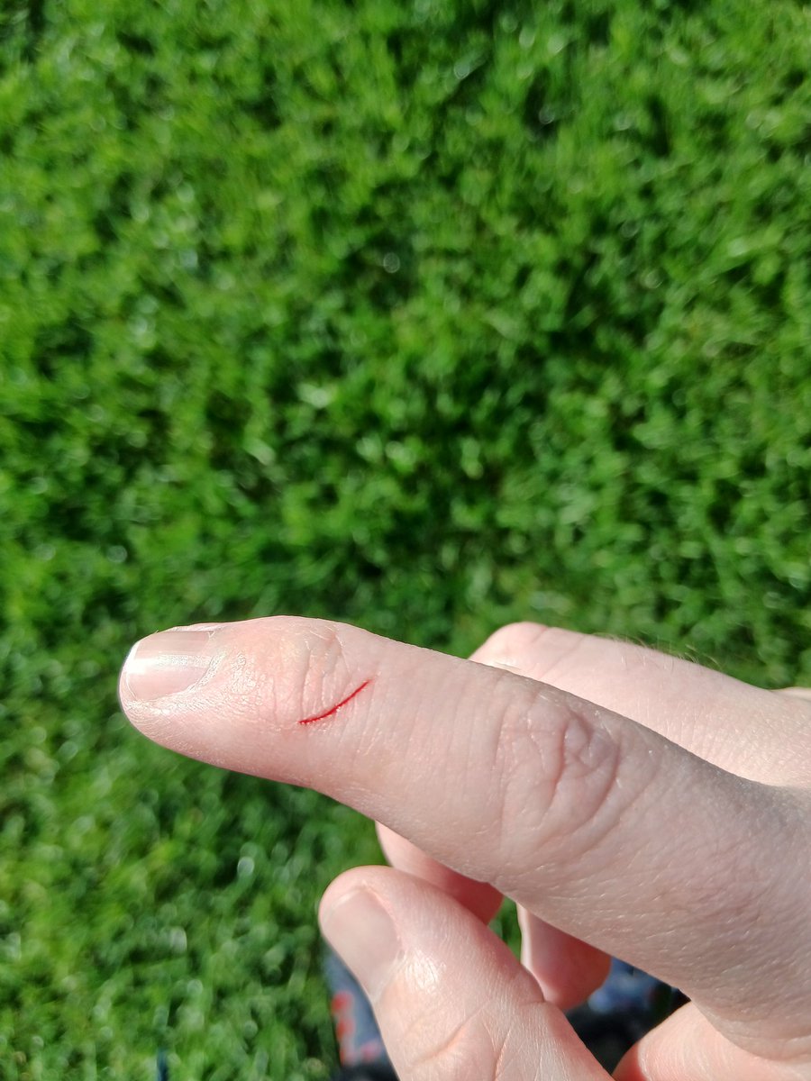 Anthony Day tweet media