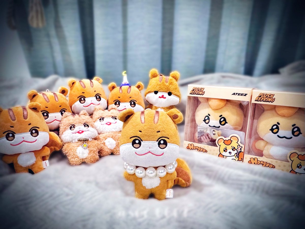 茶色い毛玉 on X