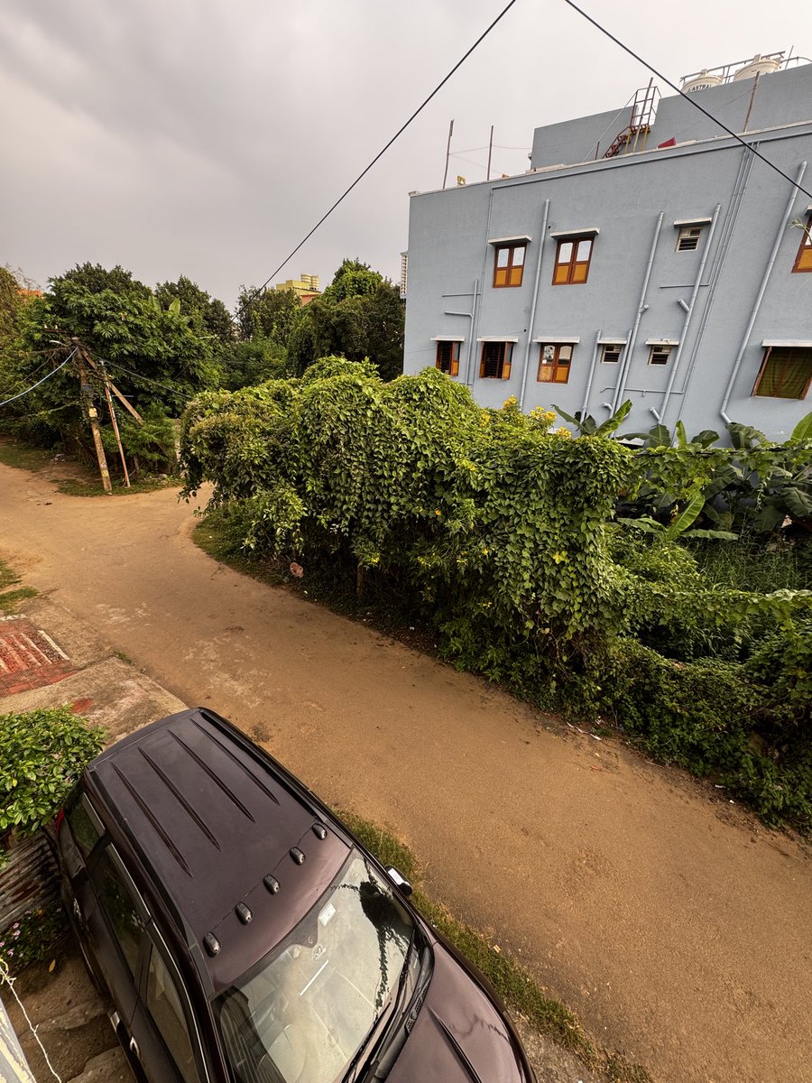 AnwishKumar's tweet photo. Bhubaneswar Kalinga vihar k-4 1132 onwards power lines are covered with vines covering street lights as well. Please it needs to be removed ASAP. 
Please help @bmcbbsr #tpcodl
#bmc  @TataPower https://t.co/BYhiU1woPE