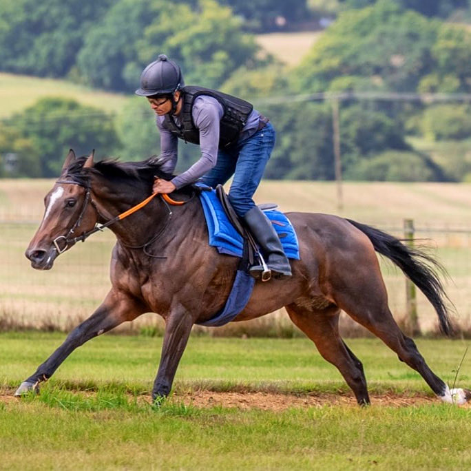 All For One Racing IV’s Belle Amie runs this evening in the 6:30pm race <a href="/Southwell_Races/">Southwell Racecourse</a>, with <a href="/DavidEgan99/">David Egan</a> in the saddle for trainer <a href="/DavidMenuisier/">David Menuisier 🇬🇧🇫🇷🇪🇺🌍</a>. 

📸 <a href="/TracksideJay/">Jay</a>