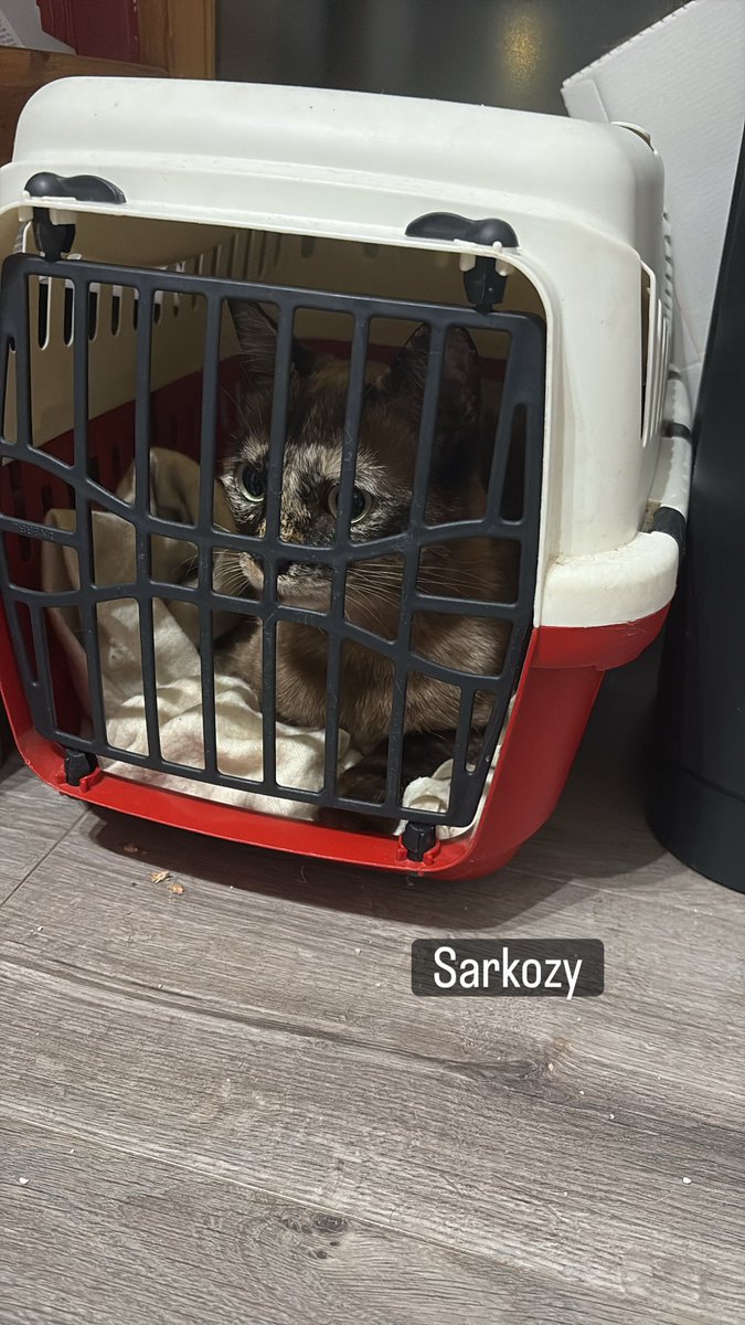 LeHyroon's tweet photo. Sarkozy https://t.co/7jvFyrpVJP