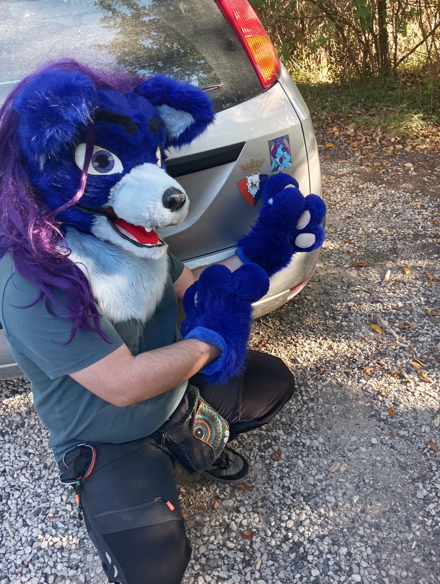 Happy #FursuitFriday! 

Más fotillos! Estas del finde pasado cuando pille el Etzhamóvil (?) y nos fuimos al monte. También tengo subidas todas las fotos en Furtrack --> furtrack.com/index/characte…

📸<a href="/PoLiCoV_/">PoLiCoV</a>