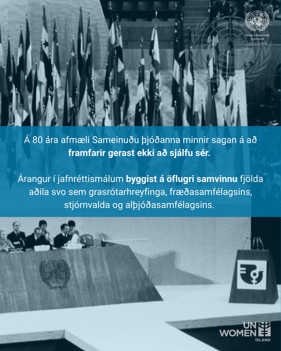 UNAIceland's tweet photo. frh. https://t.co/X02swiXKhq
